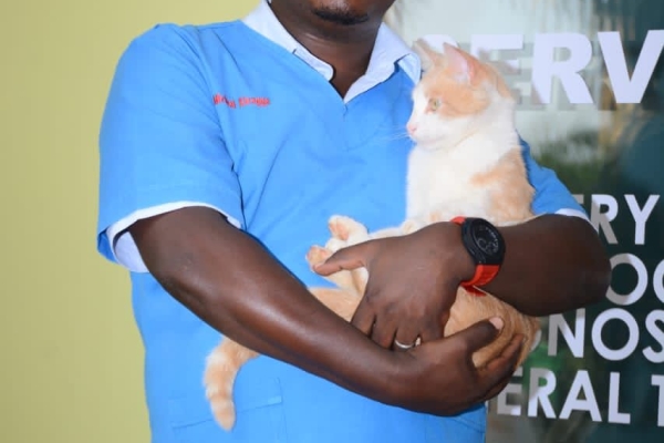 WhatsApp Image 2025-04-03 at 11.56.